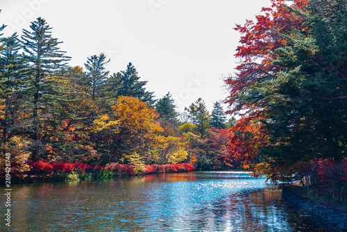 Kumobaike Pond autumn foliage scenery view, multicolor reflecting on surface in sunny day. Colorful trees with red, orange, yellow, golden colors around the park in Karuizawa, Nagano Prefecture, Japan photo