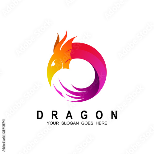 Dragon logo design template ,Vector illustration