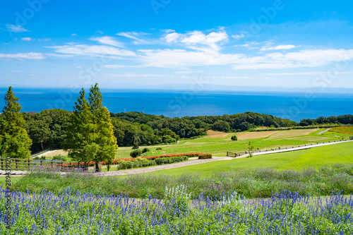 Landscape of Awaji Hanasajiki Park