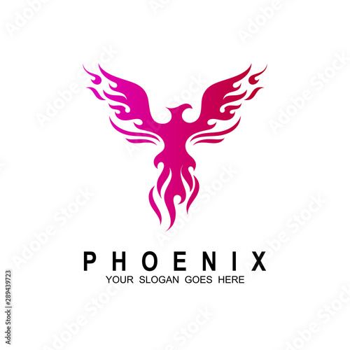 Eagle logo, Phoenix logo design template. Vector Illustration, Fire-bird, Eagle logo