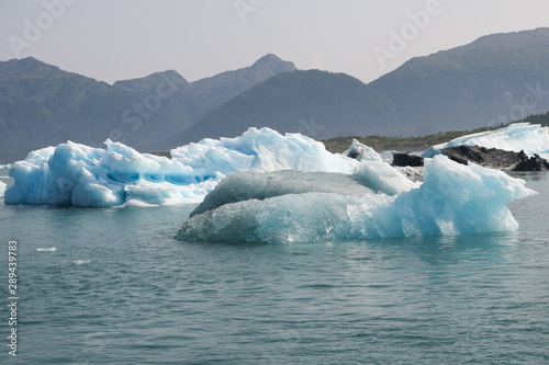 Eisschollen im Prince William Sound, vom gewaltigen Columbia Gletscher stammend - Alaska