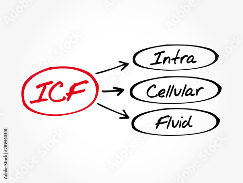 ICF - intracellular fluid acronym, medical concept background