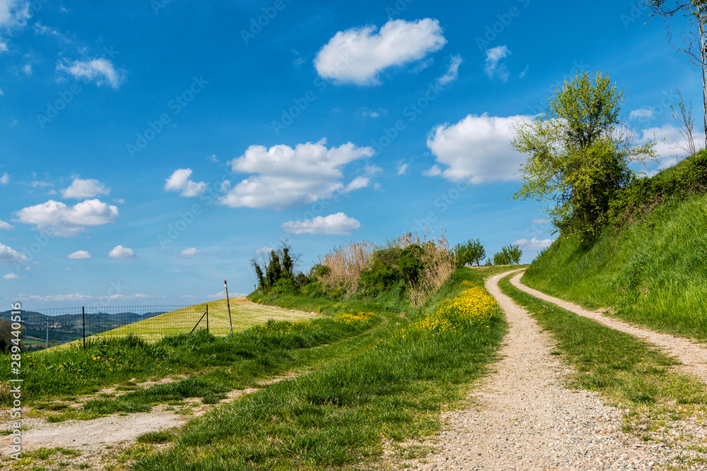 Colline del Monferrato