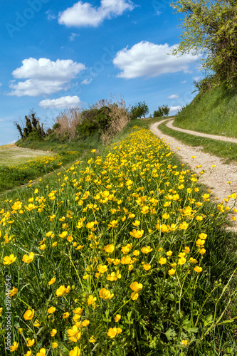 Colline del Monferrato