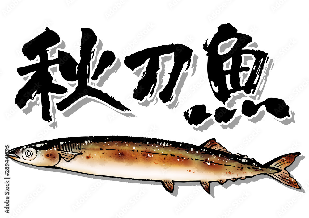 秋刀魚 塩焼き 手描きイラスト 筆 Stock Photo Adobe Stock
