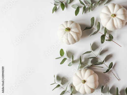 Floral autumn composition of pumpkins and eucalyptus on a white background. Copy space photo