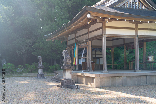 The shrines in Nara photo