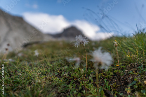 Swiss Alps Outdoors hiking