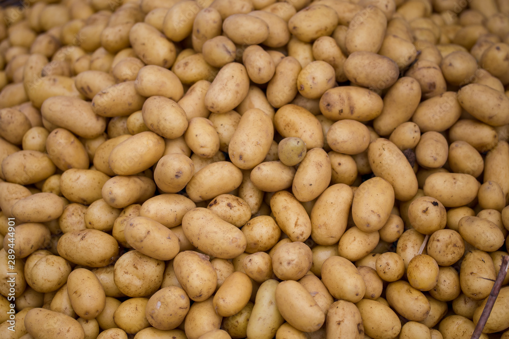 pommes de terre pommes de terre