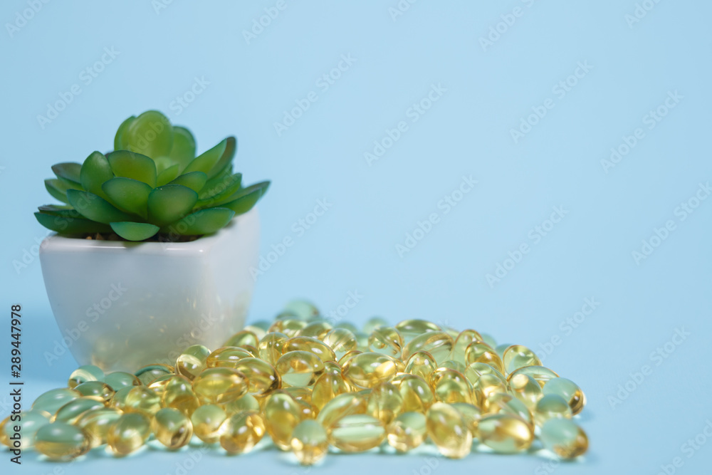Capsules with fats for diet and healthy eating Capsules with fats for diet and healthy eating