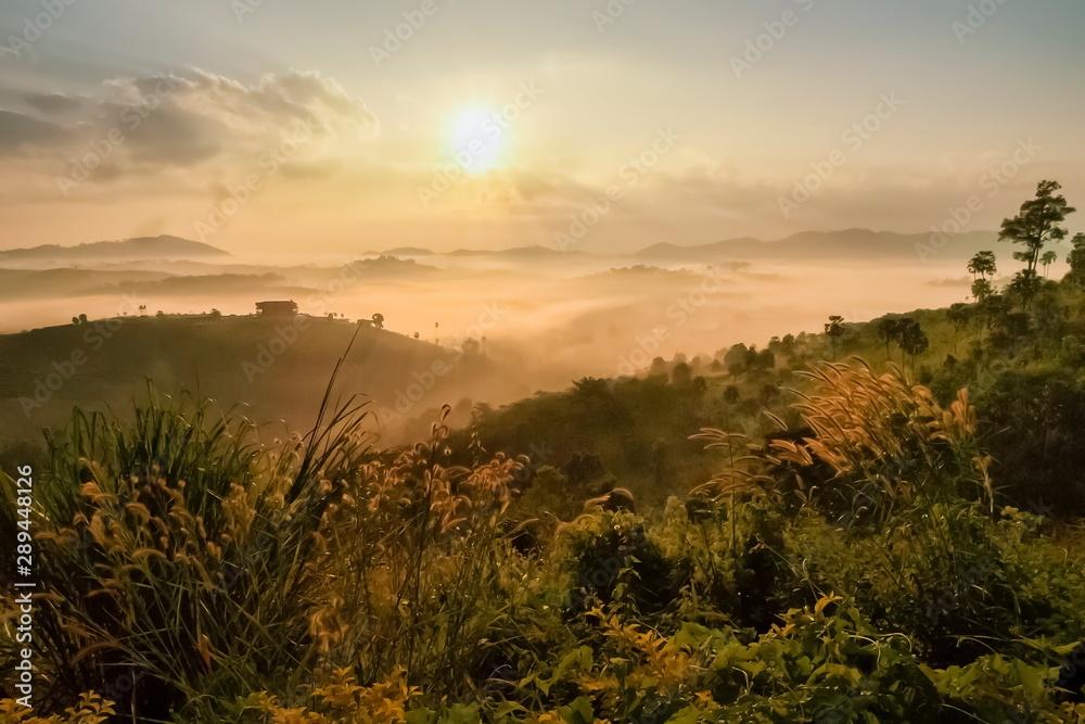 Mountain view morning of top hills and forest around with sea of fog with yellow sun light in the sky background, sunrise at Wat Kong Niam View Point, Khao Kho, Phetchabun, Thailand.