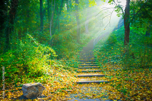 Sonne scheint auf Treppe im Park Wald - Sonnenstrahlen im Herbst