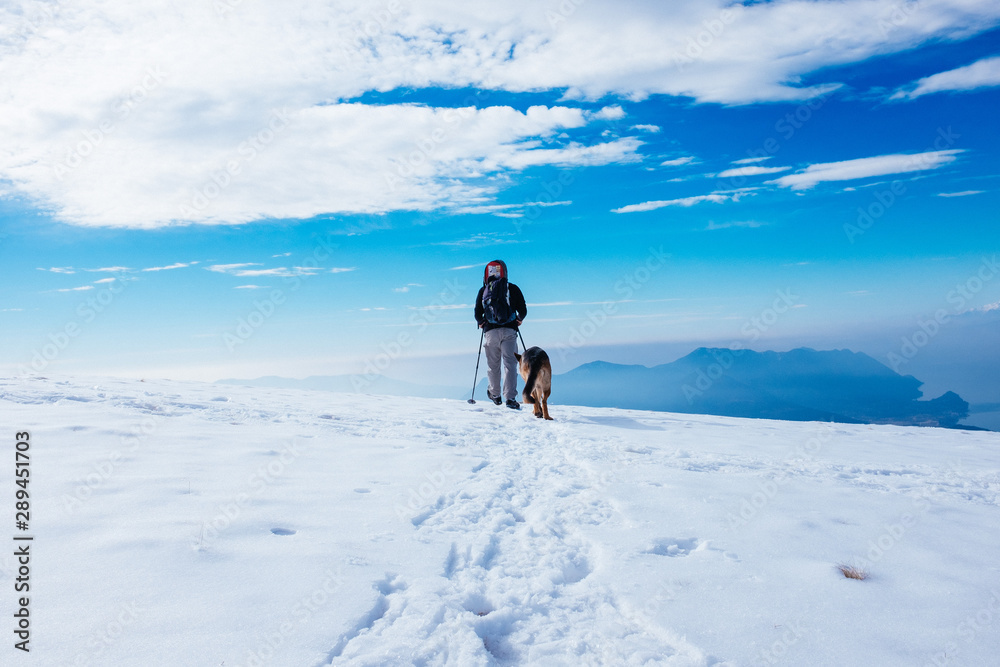 hiker walks in snow-covered mountain with his German shepherd dog