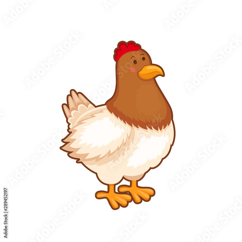 Portrait of cute farm hen