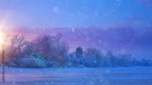 Christmas winter landscape, falling snow and snowy tree on sunset