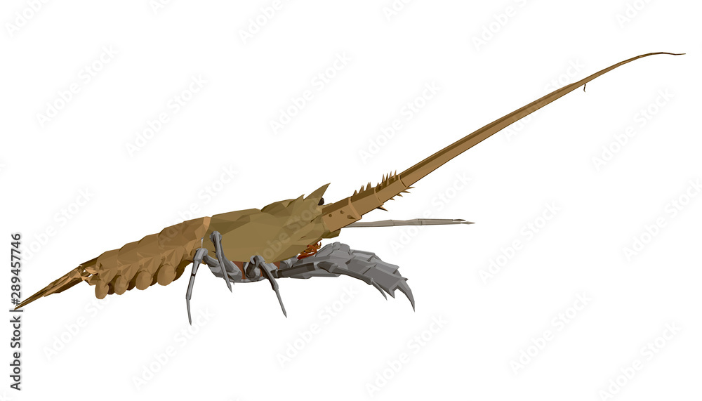 Polygonal little lobster. Realistic yellow lobster. Side view. 3D