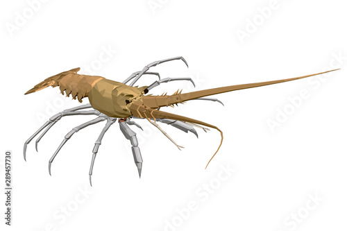 Polygonal little lobster. Realistic yellow lobster. View isometric. 3D. Vector illustration.