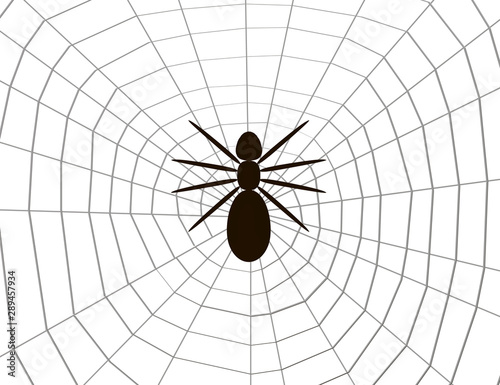 Spider silhouette on the web. View from above. Vector illustration.