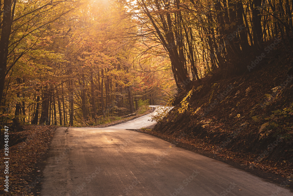 Obraz premium Beautiful autumn landscape