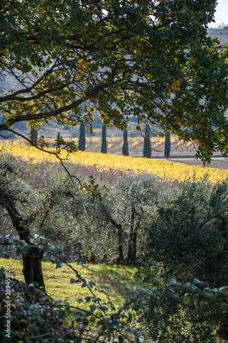 Val d'Orcia