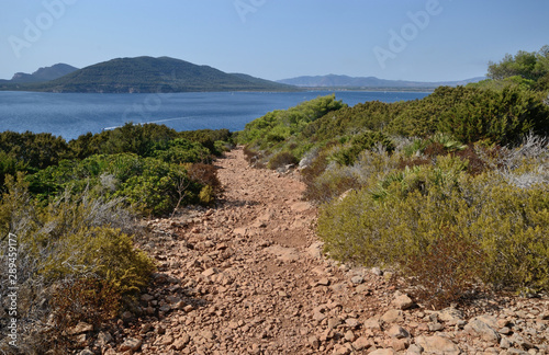 A path that leads to Punta Giglio in the natural park of Porto Conte in northern Sardinia with the sea and Capo Caccia in the background