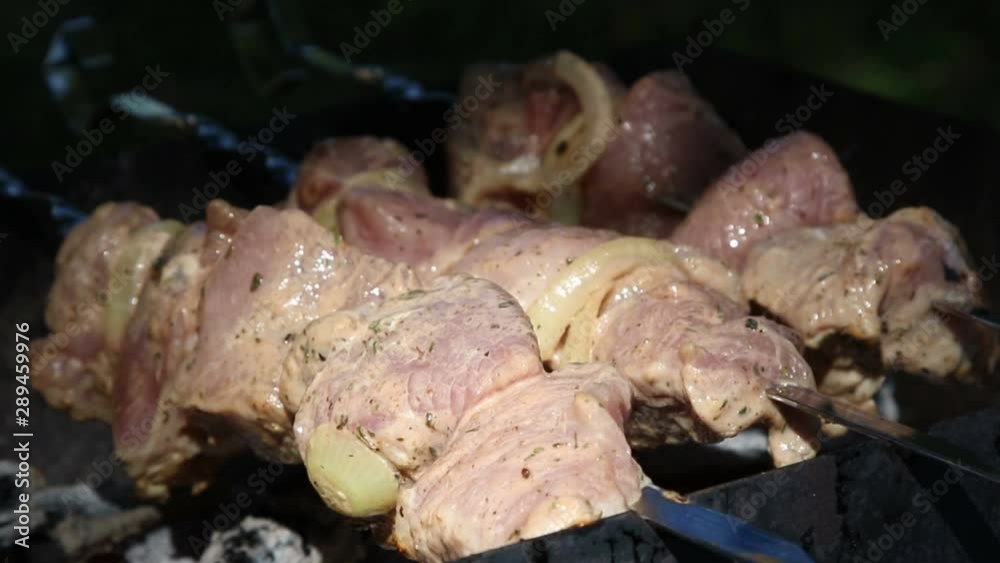 Meat pieces being fried on a charcoal grill. Grilling meat during outdoor recreation. Meat pieces being fried on a charcoal grill. Grilling meat during outdoor recreation.