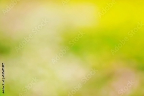 Blur focus color Beige blurred texture. Empty background. Abstract pale template. Defocused pattern (This is a photo shot)