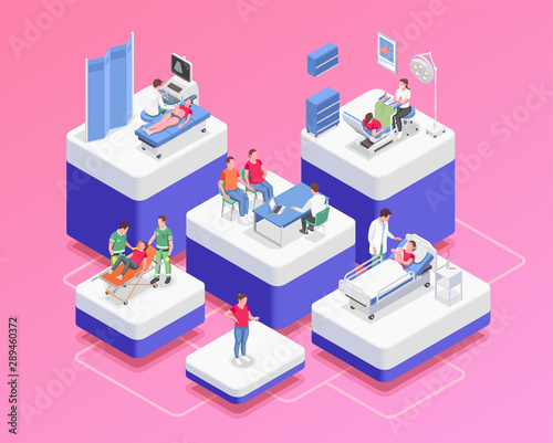 Pregnancy Isometric Composition