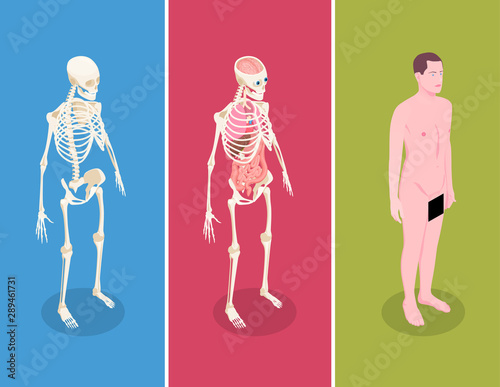 Anatomy Isometric Banners Set