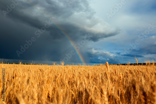 natural beautiful landscape with blue stormy sky with clouds and bright rainb...