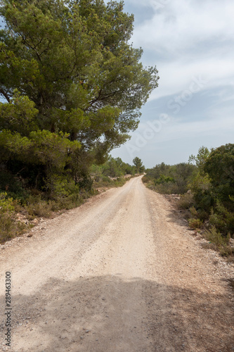 The august road as it passes through the senia © vicenfoto