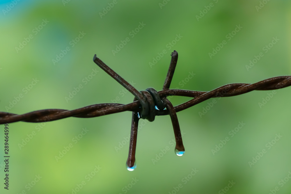 Drop of water on rust barbed wire Drop of water on rust barbed wire