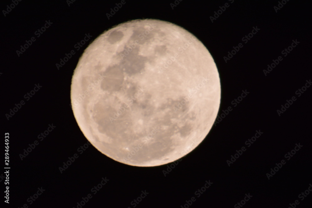 Obraz premium Luna