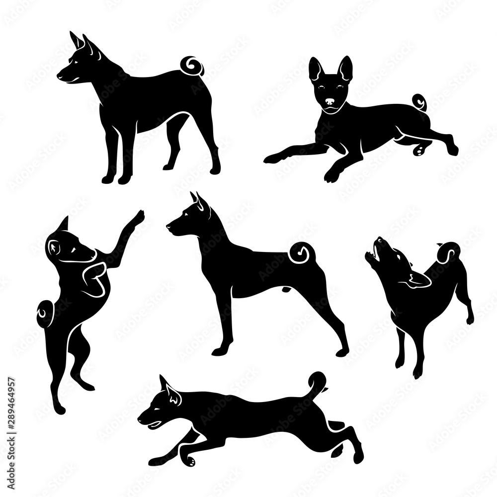 Set of African Basenji dog silhouettes - isolated vector illustration - obrazy, fototapety, plakaty 