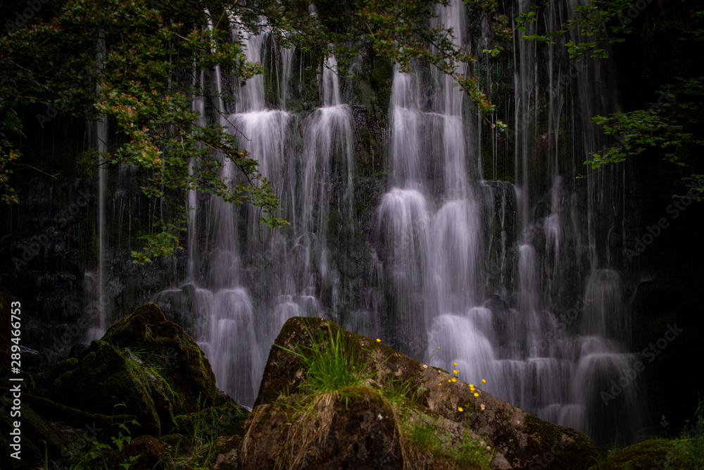 Obraz premium Scale Haw