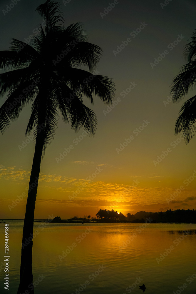 Beautiful tropical sunset with Coconut trees at beach