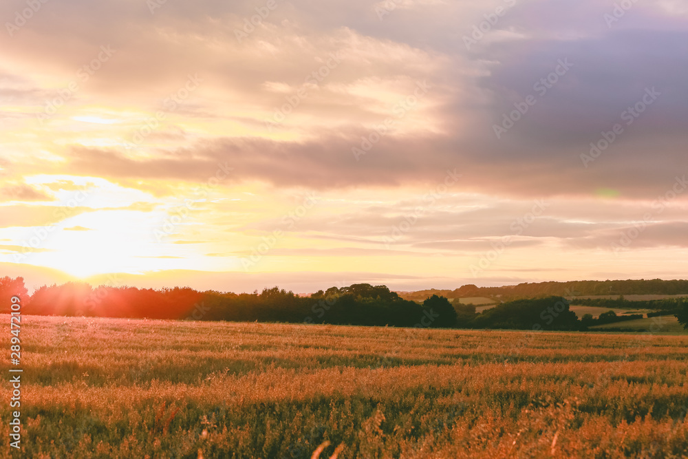 Typical english countryside field with sunset cloudy sky nature Landscape .