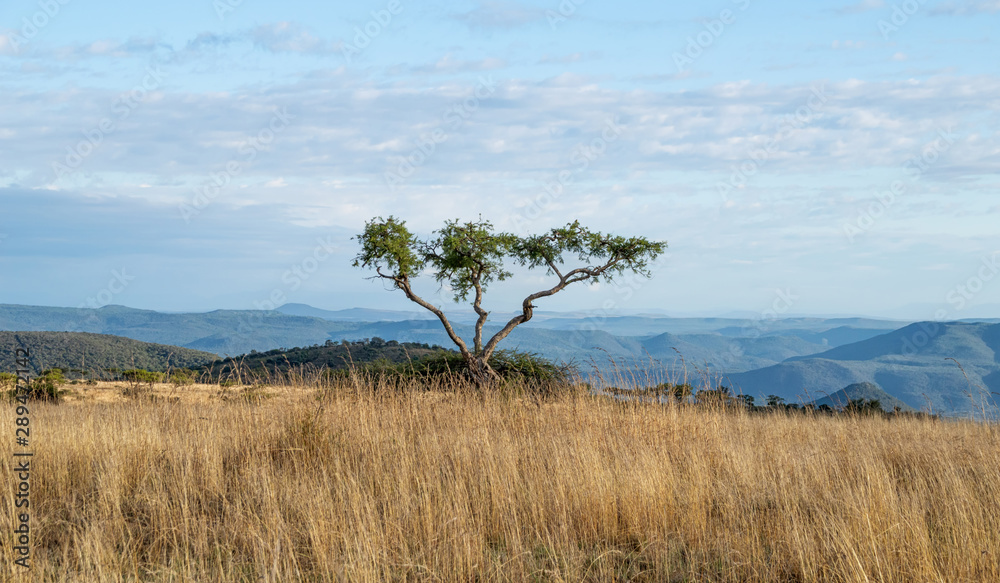 KwaZulu-Natal Landscape