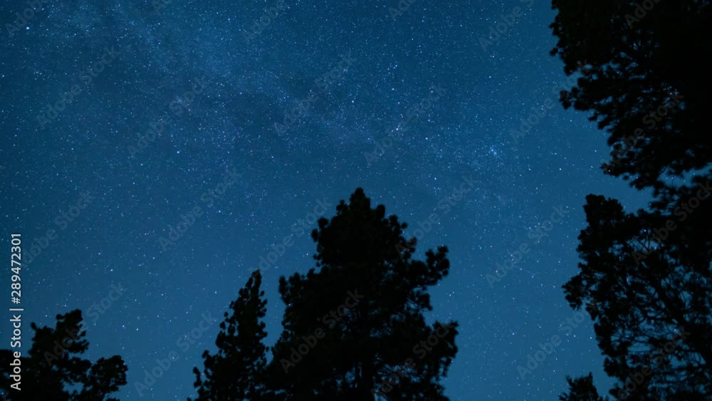 Milky Way Galaxy North Sky 24mm Perseid Meteor Shower Over Forest 01 Milky Way Galaxy North Sky 24mm Perseid Meteor Shower Over Forest 01