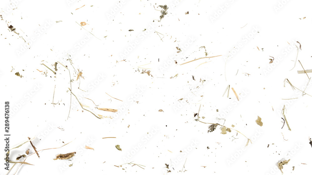 Plant texture with grass, flower petals and hay isolated on white background Plant texture with grass, flower petals and hay isolated on white background
