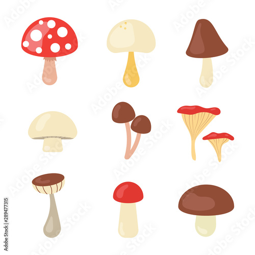 Cute autumn flat mushrooms. Fall elements set