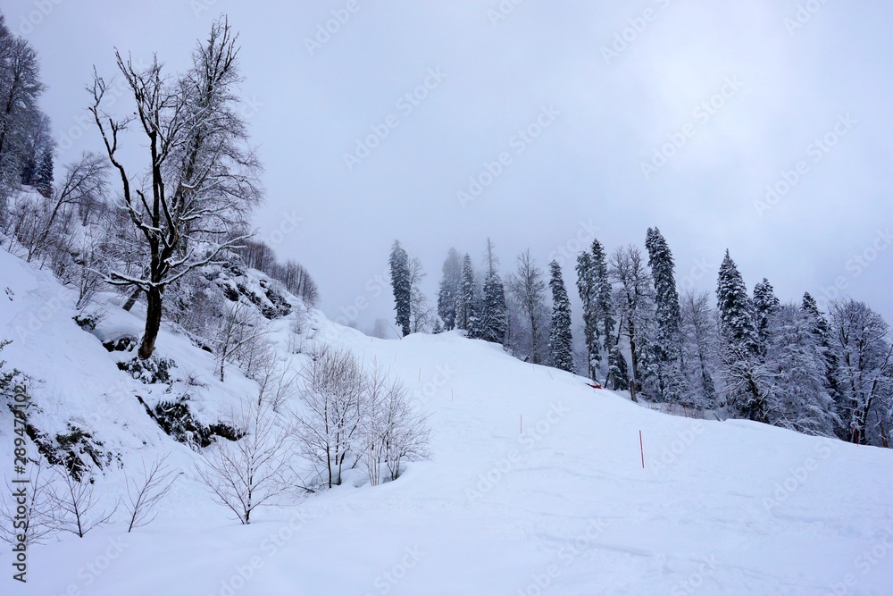 Obraz premium Beautiful winter scenery in the mountains. A lot of money. Trees and peaks of mountains, cable car.