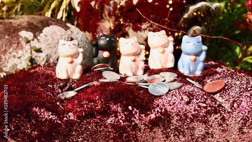 Fototapeta 吉野山 猫 小銭