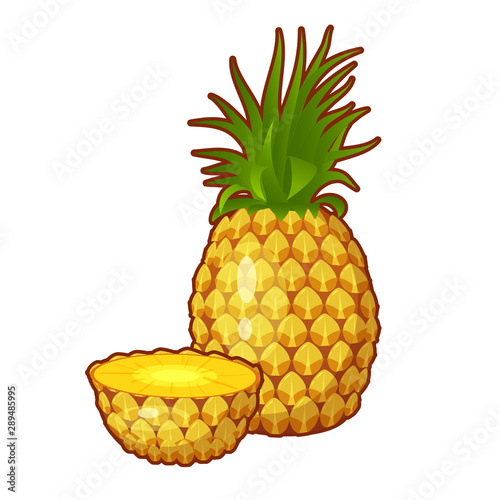 Vector illustration of pineappe fruit photo