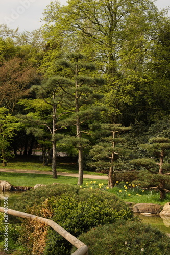 Trees