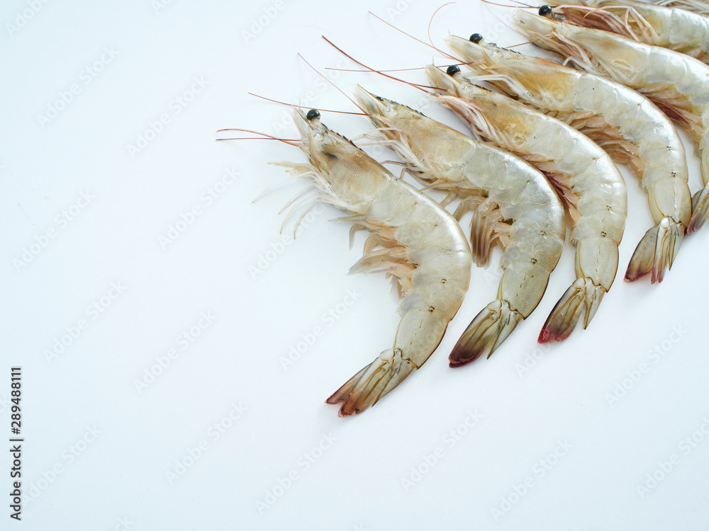 Fresh shrimp on white background Fresh shrimp on white background