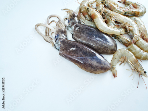 Fresh squid and fresh shrimp