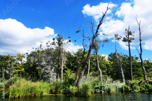 Fototapeta Naklejka Na Ścianę i Meble -  Mazury