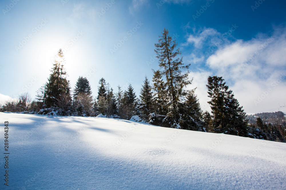 Fototapeta premium Fantastic winter landscape in sunny day. Beauty world.