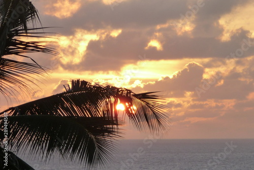 Glacis, Seychelles photo